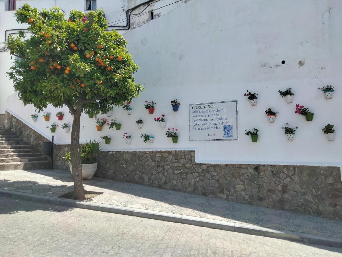 Casa Vista Villa Alcalá de los Gazules Екстериор снимка